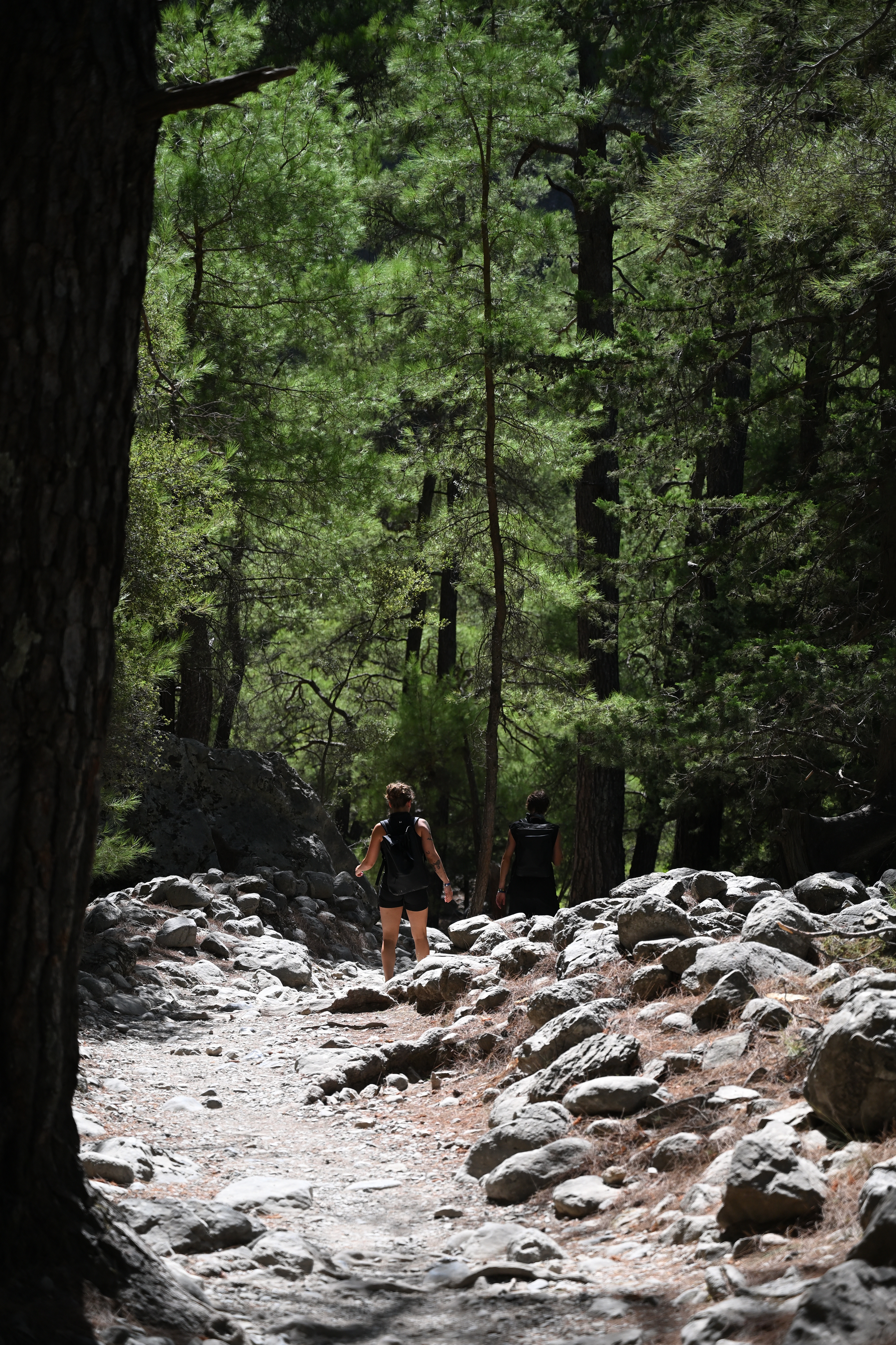 Followers of the path