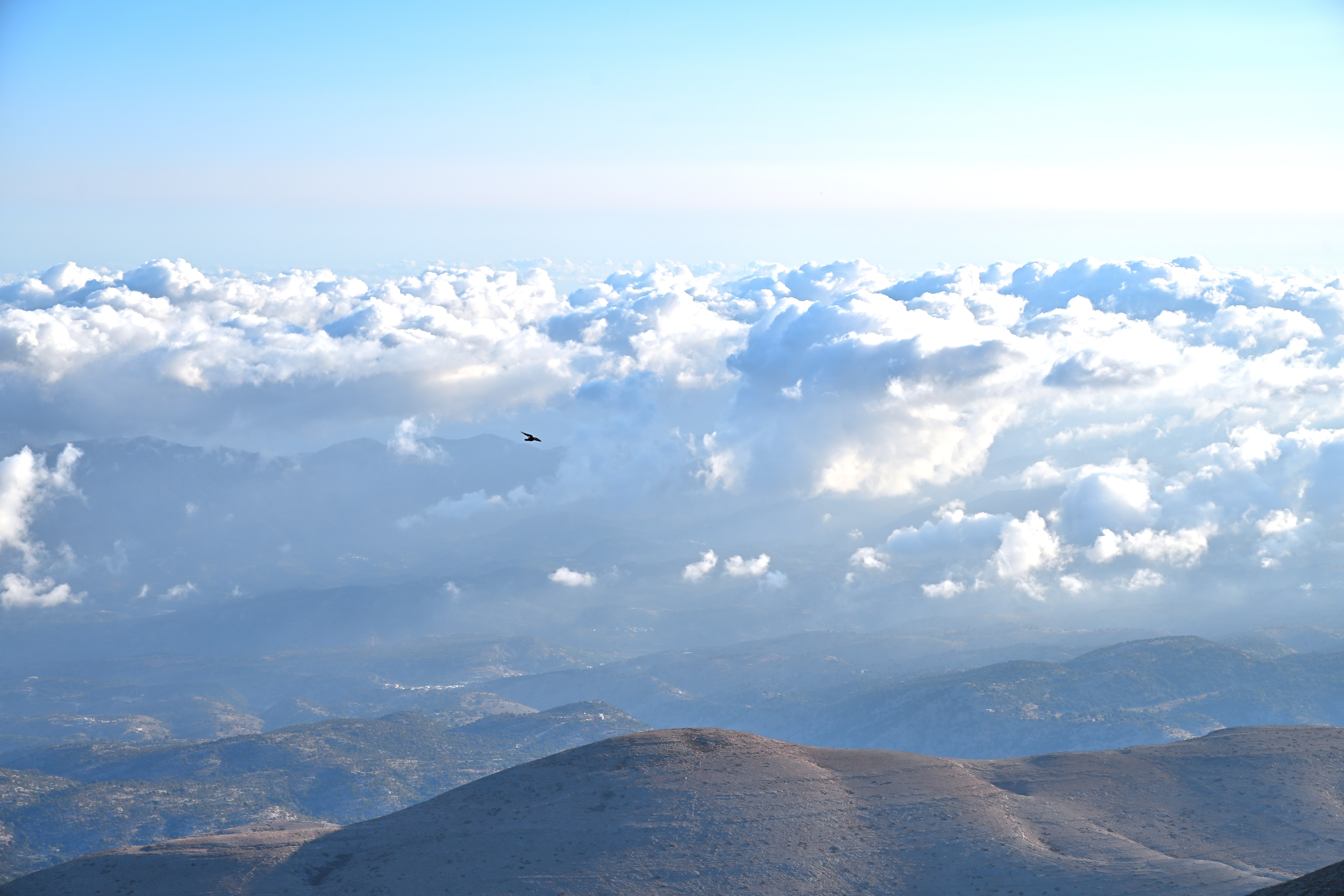 Riding the sky